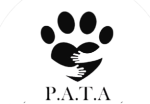 pata_logo_main-removebg-preview