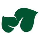Logo BioMinds sem fundo
